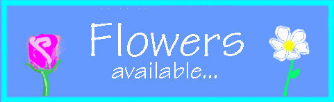 dvdeals information on flowers, roses, bouquets! Graphic by NIPPIES(sm)