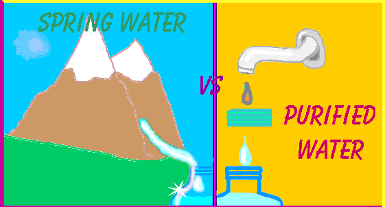 Nippies asks: spring water or purified bottled water graphic
